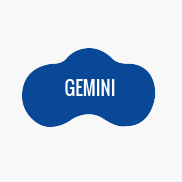 Pool Shape - Gemini
