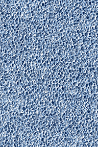 Gunite Light Blue