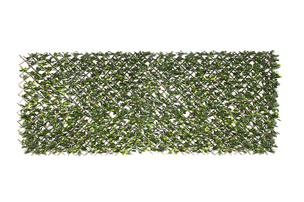 Green Wall – English Forest 40″ x 80″
