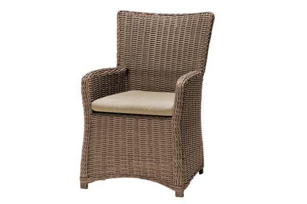 Amola Carver Dining Chair