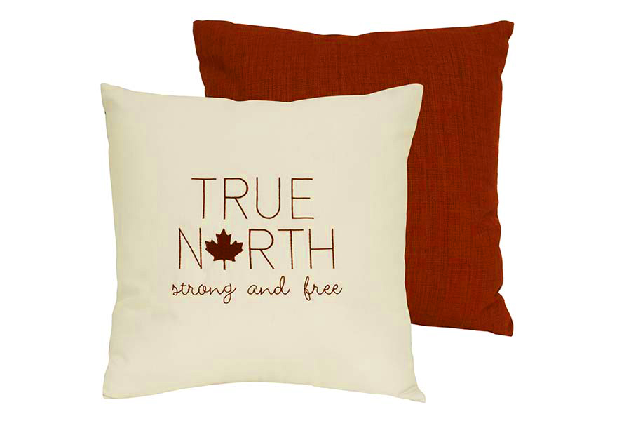 True North Outdoor Cushion