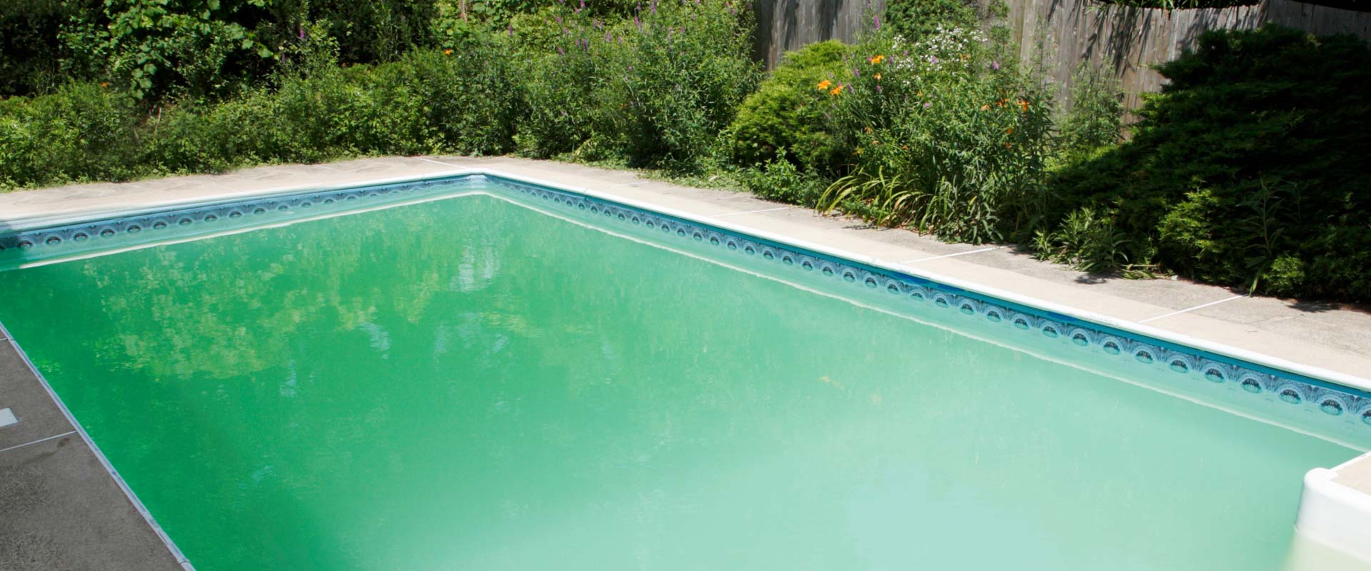 Block Unwanted Algae All Year Long Boldt Pools