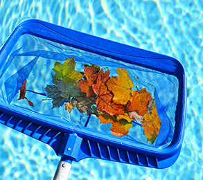 Pool Opening Service