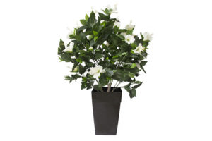 Outdoor Artificial Plants