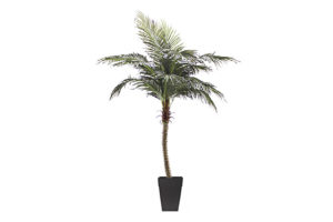 Outdoor Artificial Plants