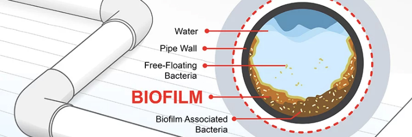biofilm in pipe diagram for hot tubs