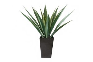 Outdoor Artificial Plants