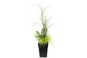 Outdoor Artificial Plants