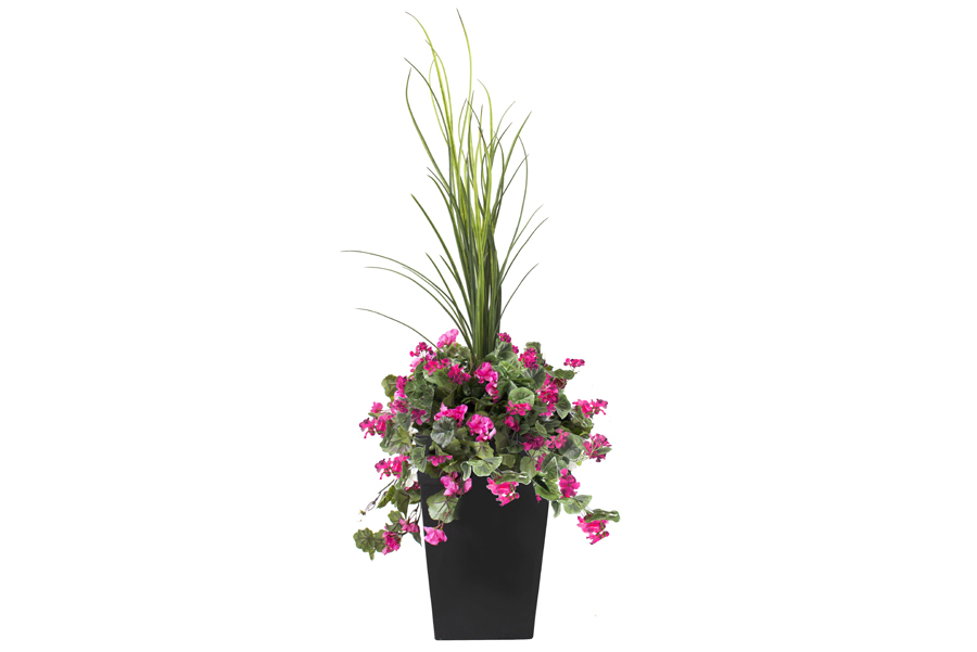 3′ Outdoor Planter Bougainvillier Rose Pink