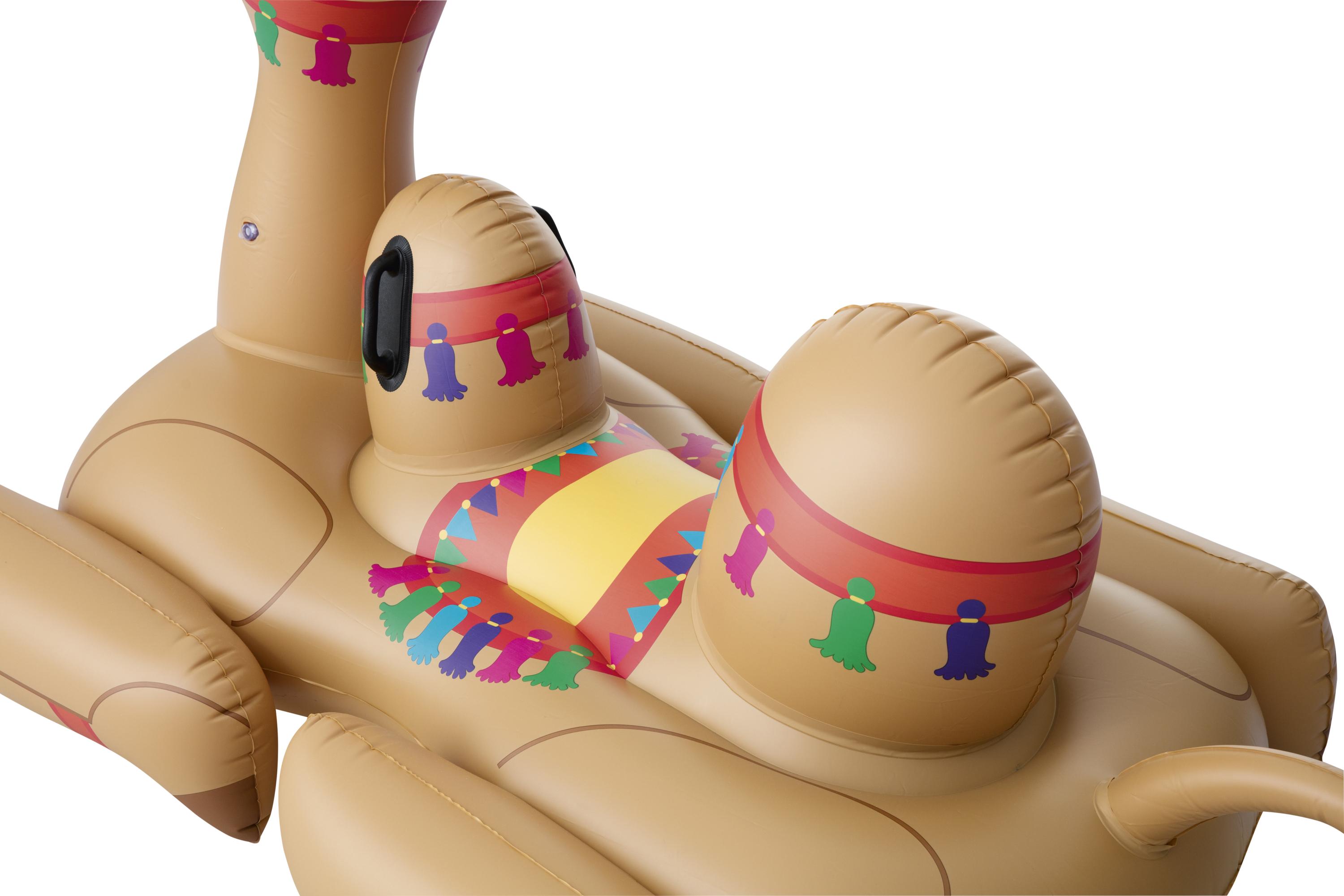 Camel Pool Float