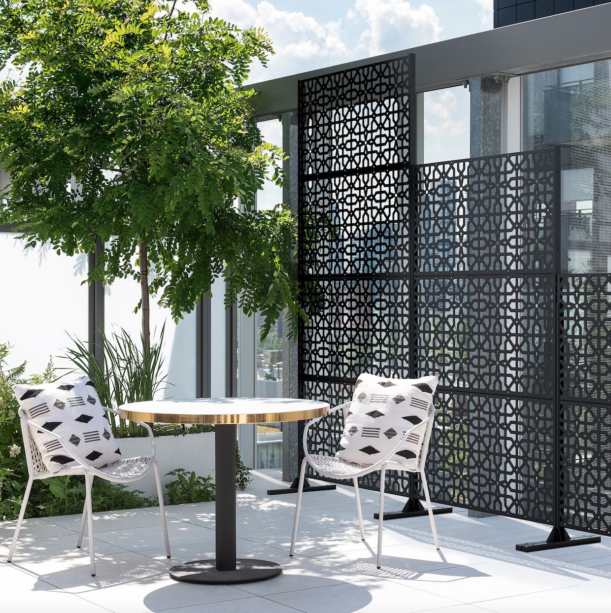 Parilla Privacy Screen