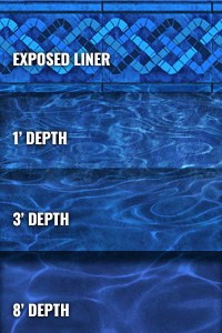 Athena With Parthenon