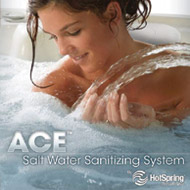 ACE Salt Water Sanitizing System
